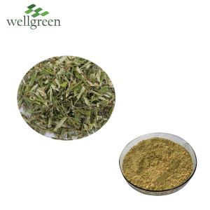 Serbuk Ekstrak Daun Seabuckthorn