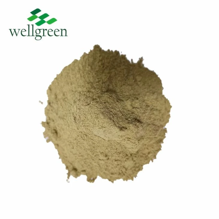 Factory Supply Anti-rheumatism White Willow Tree Bark Extract 15% - 50% Salicin