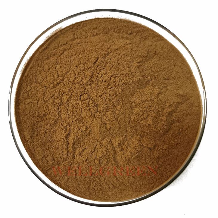 Wellgreen Factory Supply Anti-oxidant Olive Leaf Extract 40% Oleuropein