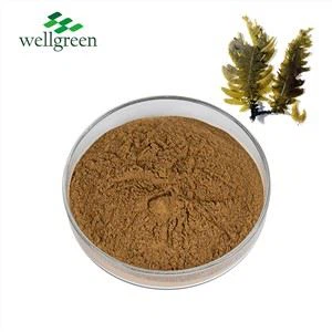 Apakah hubungan antara pigmen dan perlindungan UV?