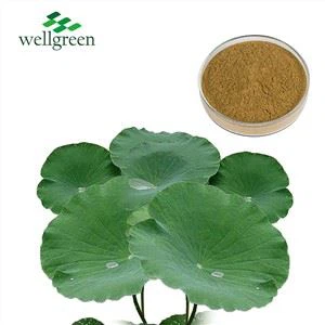 Ekstrak Daun Teratai