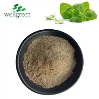 Ekstrak Oregano