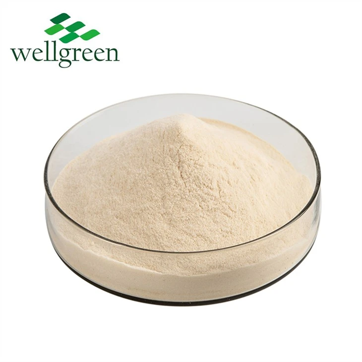 Aloe vera powder,Wellgreen tech.